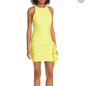 NWT cinq a sept makayla dress
